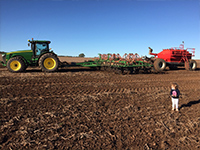 2015 Seeding at Springbank	