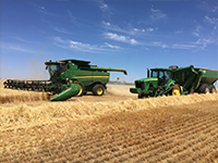 Harvest 2016 at Springbank