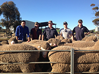 The Vandeleur boys James,
 Mark,
 Jim,
 Ryan and Kym classing rams prior to the 2015 on property sales. 