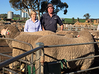 Judy and Jim Vandeleur pictured with a few 2015 sale rams