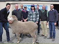 2015 On Property ‘Springbank’ Saddleworth - Rices Creeks James Vandeleur,
 John Bowden,
 Rhynie,
 Quality Wool auctioneer Simon Seppelt,
 Phil and Michael Bowden,
 Rhynie,
 Kym Vandeleur,
 Landmark's Leo Redden,
 and Mark Vandeleur with the top-price ram which sold for $4100.