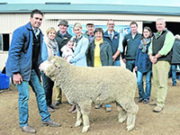 2014 – ‘Springbank’ Saddleworth On-Property Sale- James Vandeleur,
 Rices Creek,
 holding the $3400 top price ram with Judy,
 Jim,
 Amanda and Ellie Vandeleur,
 buyers Mark and Marilyn Phillips,
 Quality Wool’s Simon Seppelt,
 Kym and Hazel Vandeleur and Landmark auctioneer Leo Redden.