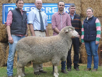 2016 On Property Tintinara - Ryan and Mark Vandeleur,
 Rices Creek Tintinara with Spence Dix & Co auctioneer Luke Schreiber and buyers of the $5200 top-priced ram Peter and Shevahn Glynn,
 Glynnard Props,
 Riverton.