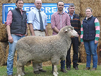 2016 On Property Tintinara - Ryan and Mark Vandeleur,
 Rices Creek Tintinara with Spence Dix & Co auctioneer Luke Schreiber and buyers of the $5200 top-priced ram Peter and Shevahn Glynn,
 Glynnard Props,
 Riverton.