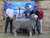 2018 Tintinara Rices Creek Poll Merinos Sale Topper