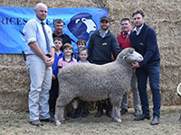 2019 Tintinara Sale Topper - Rices Creek Poll Merinos