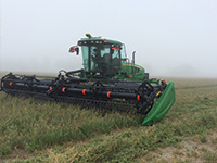 Harvesting crops in the fog