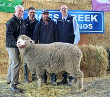 Rices Creek Merino Ram Sale - Sale Topper Mid North 2017