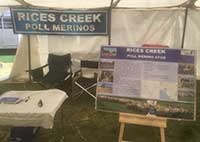 Rices Creek Display at Burra Field Days